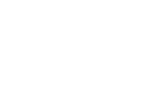 leonet